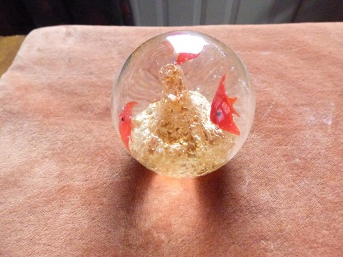 Small fish glass - 1,