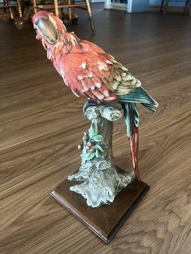Giuseppe armani macaw parrot - armani,