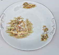 Alfred Meakin England PLATE