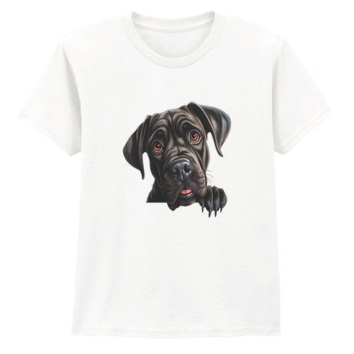 Cane corso puppy - corso,