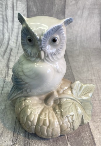 Requena owl pumpkin - requena,