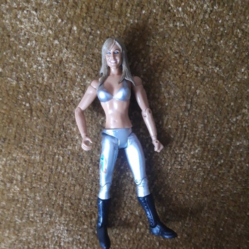 Wwe michelle mccool jakks - wwe,