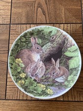 Wedgewood Fine Bone China 8”