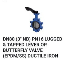BUTTERFLY VALVE Core DN80