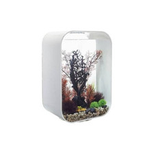 biOrb LIFE 60 Aquarium with