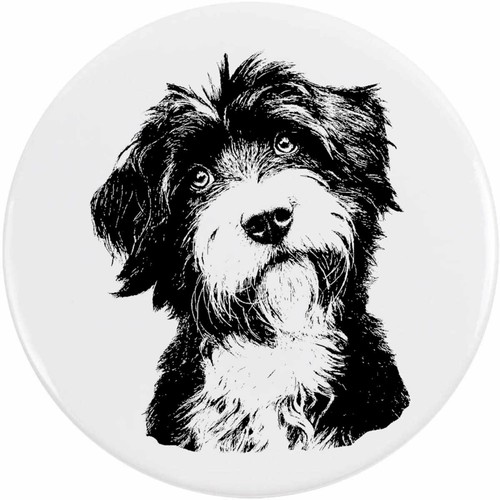 Tibetan terrier portrait - 'tibetan, portrait'
