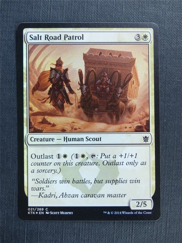 Salt road patrol foil - road,