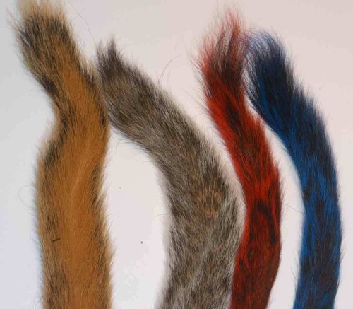 Squirrel tail natural and - tail,
