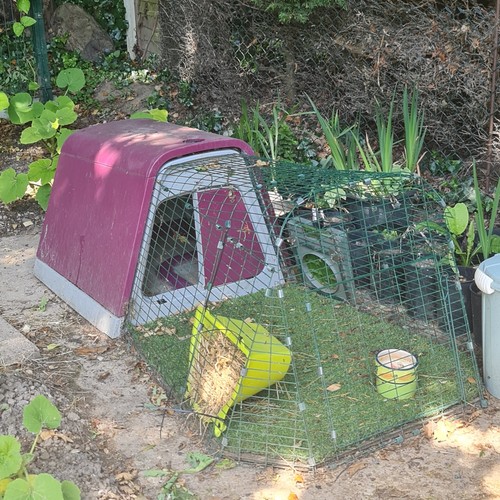 Omlet purple rabbit hutch - rabbit,