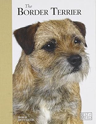 Border terrier best - terrier,