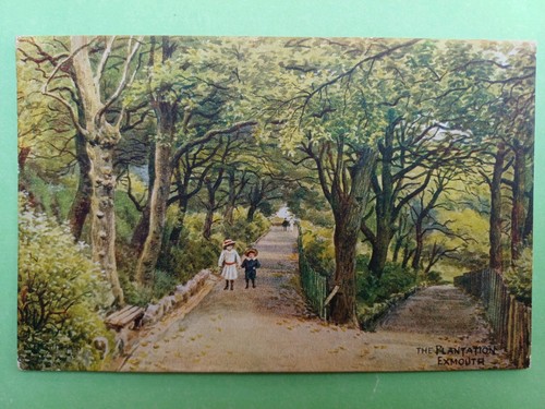 Post card salmon quinton - post,
