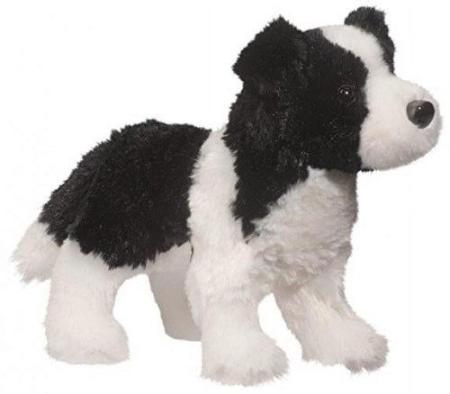 Douglas chase border collie - douglas,