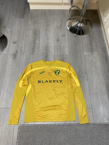 Norwich city match - city, worn