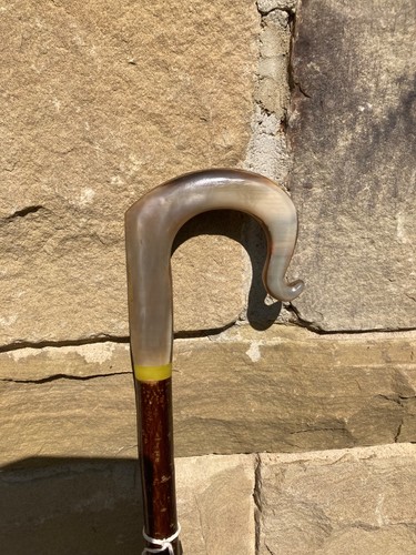 Cow horn crook handle stick - crook,