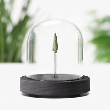 Roman Arrowhead Fossil