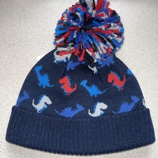 NEXT Blue Dinosaur Knit Bobble