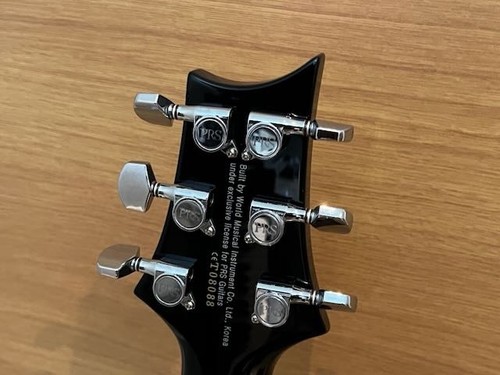 Prs custom semi hollow - se,