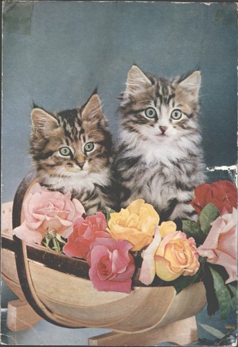 Vintage valentine postcard - vintage, valentine's