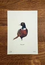 Pheasant - Wildlife Portrait -
