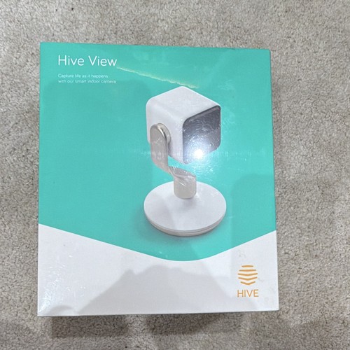 Hive indoor camera