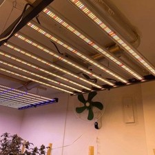 Spider 1000W Grow Light