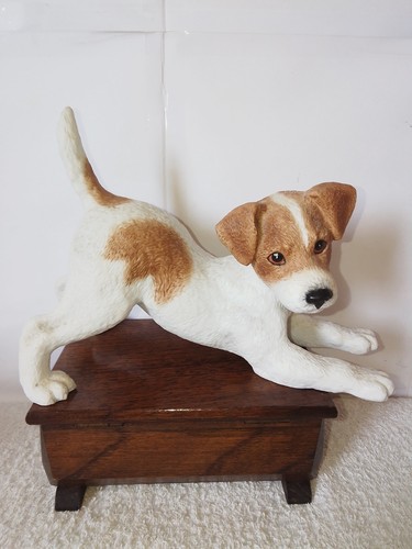 Lenox jack russell terrier - lenox,