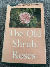 The Old Shrub Roses Graham