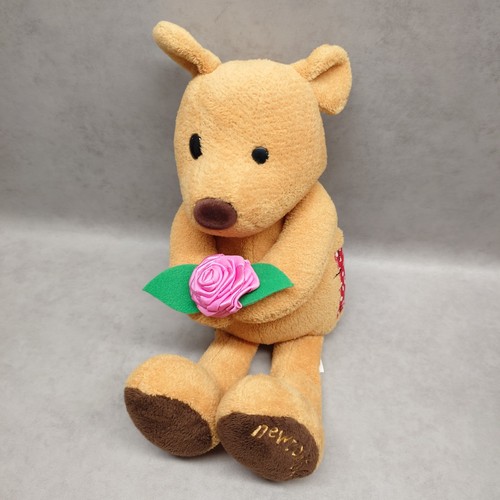 Newton law vintage teddy - newton's,