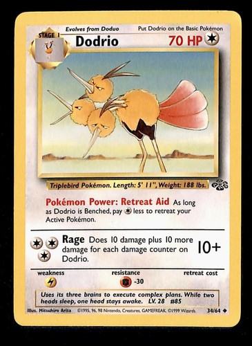 Dodrio jungle unlimited - jungle, mp