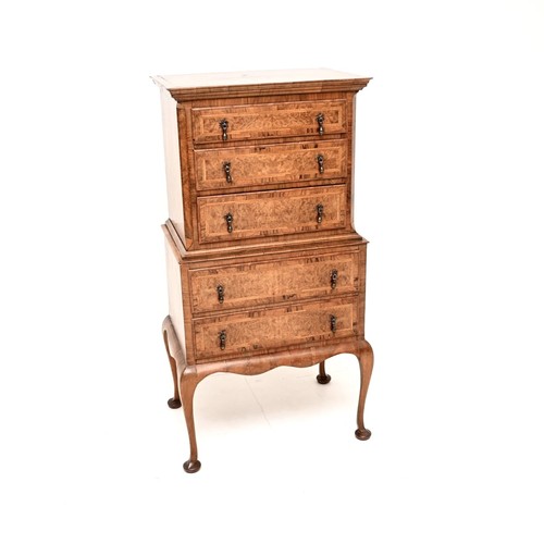Antique burr walnut chest - burr,