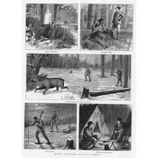 CANADA Moose Hunting in Nova