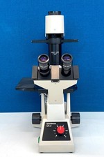 Olympus CK2 Inverted Phase