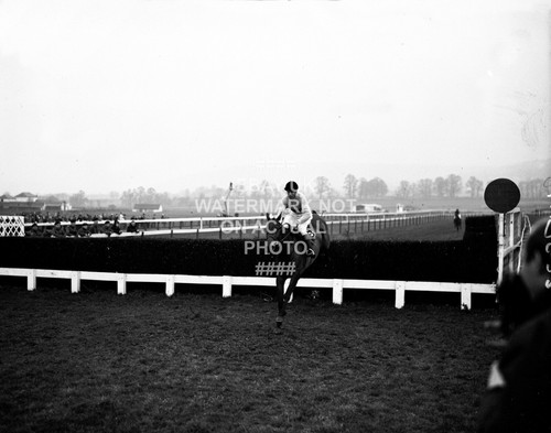 Arkle pat taaffe 1966 - arkle, gold