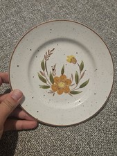 Sampson Bridgwood Kendal Hand Painted Decorative Plate