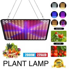 2000W LED Grow Light for