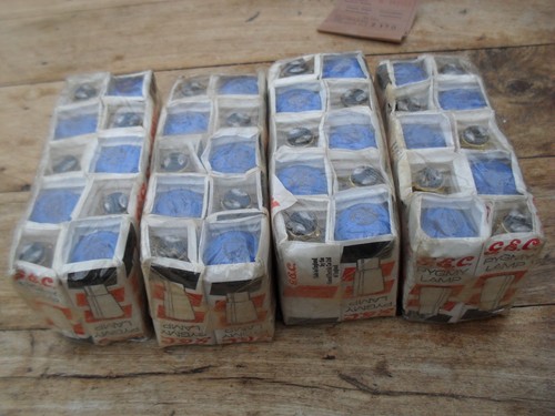 Blue pygmy bulbs - x,