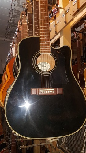1995 washburn electro acoustic - 1995,
