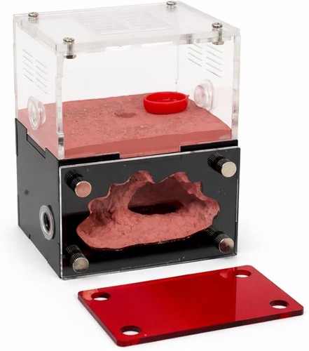 Ant farm habitat kit - farm,