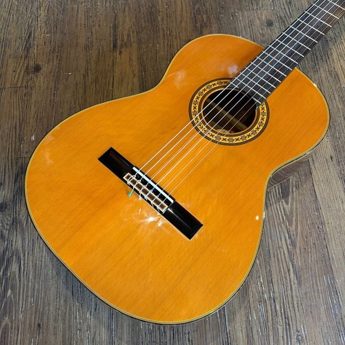 Takamine classical - no.30,