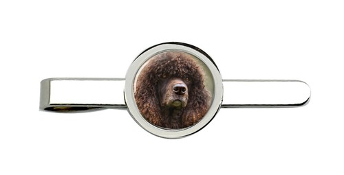 Irish water spaniel - irish,