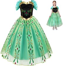 Girls Kids Fancy Dress