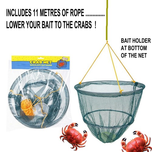 Big kids crab - big, dads