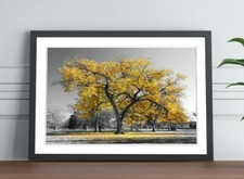 Large Tree Yellow Leaves Black