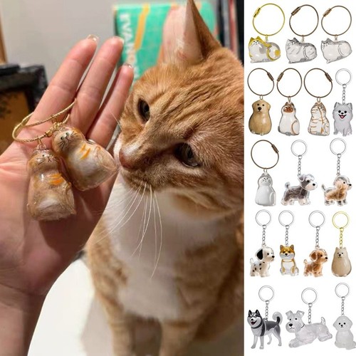 Pet dog cat fur - pet,
