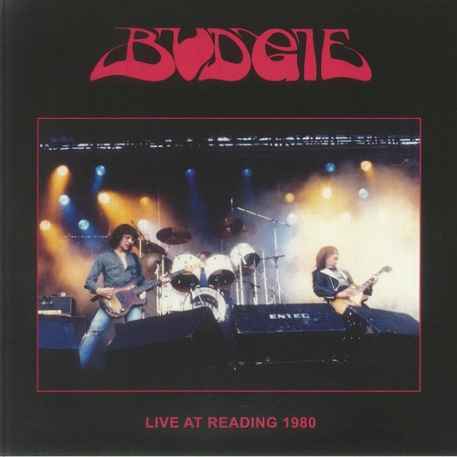 Budgie live reading - live, at