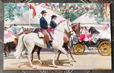 Horses 1973 Postcard Frank