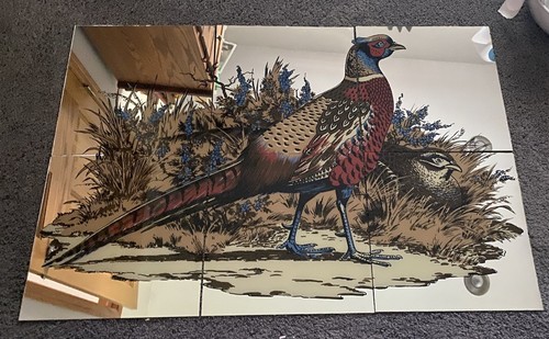 Hoyne mirro scene pheasants - hoyne,