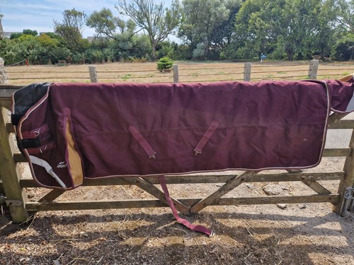 Shires highlander plus 100g - shires,