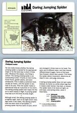 Daring Jumping Spider #60.1 Arthropods - Grolier Wildlife Adventure Card