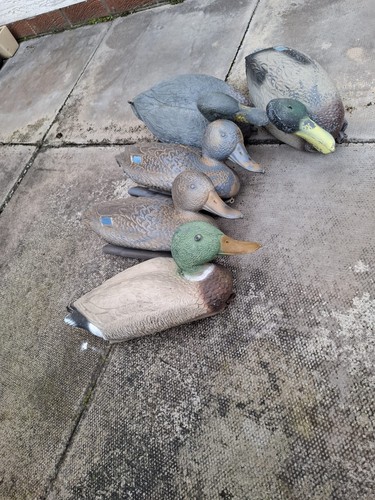 Sportplast duck decoys pack - decoys, of